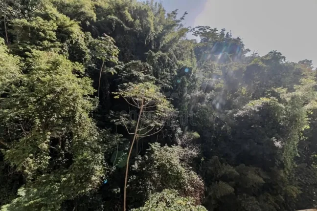 Imagem Copacabana – Praça Eugęnio Jardim | Residencial › Apartamento 3 quarto(s) à Venda