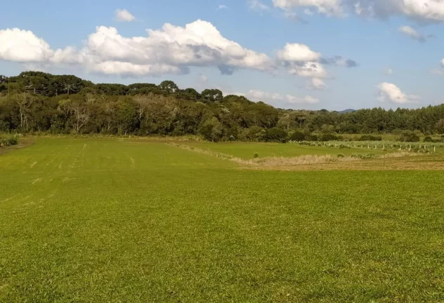 Imagem Terreno para Venda em São José dos Pinhais, Campo Largo da Roseira