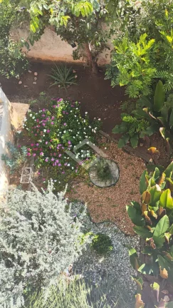 Imagem Casa Linear com 3 Quartos no Condomínio Bairro da Graça, Taquara