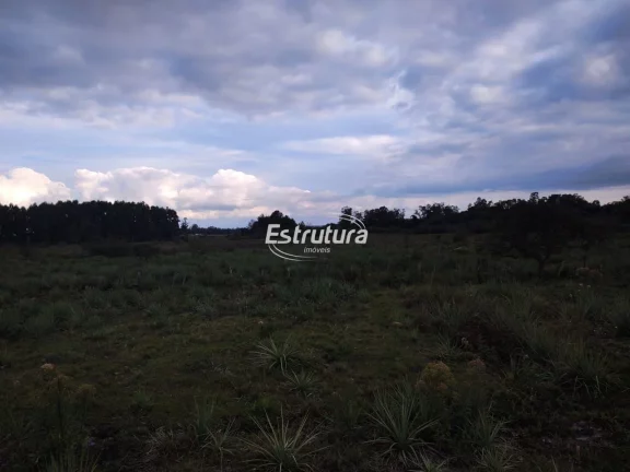 Imagem Excelente terreno para investidores na BR 287