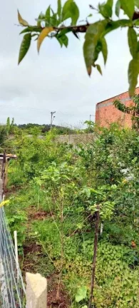 Imagem CHACARA PEQUENA EM LOCAL URBANO