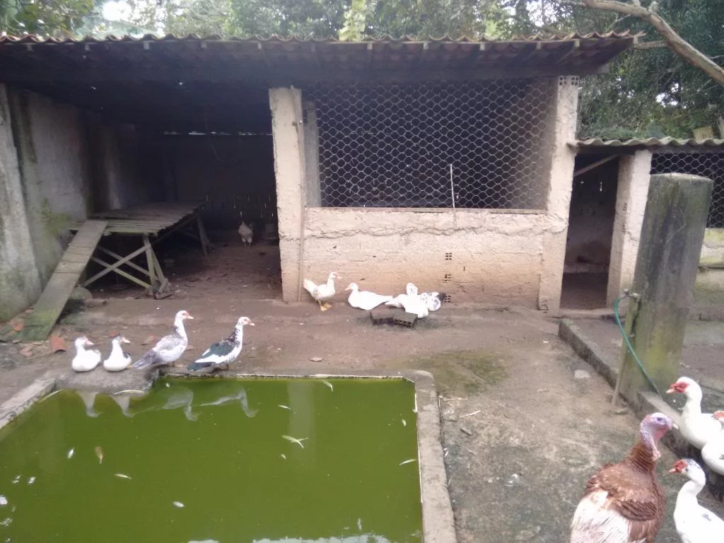 Imagem Chácara com 3 Quartos à Venda, 3.992 m² em Aldeia - Camaragibe