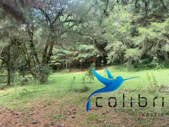 Imagem Chácara com 4 Quartos à Venda, 72.600 m² em Pinheiro Ocado - Agudos Do Sul