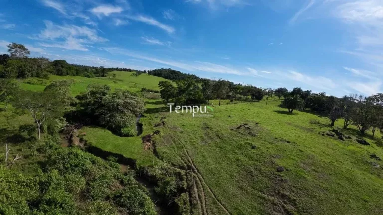Imagem Fazenda 3 alqueires em Anicuns - Excelente para plantio