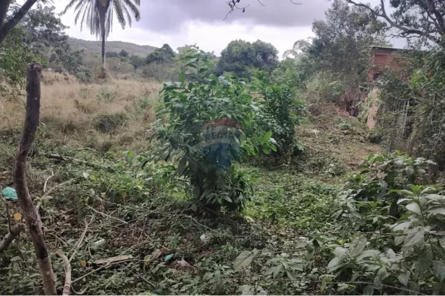 Imagem Terrenos no Loteamento Rincão Mimoso : Ótima Localização e Preço!