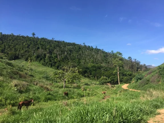 Imagem FAZENDA RURAL em COLATINA - ES, ÁREA RURAL DE COLATINA