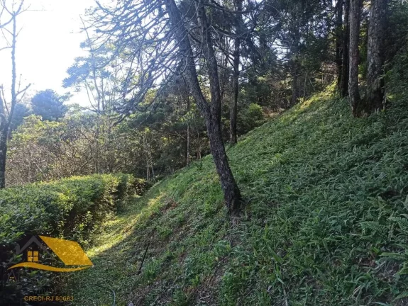 Imagem Vendo Chácara em Theodoro com 3 quartos, 1 suíte e 5 mil mts² de terreno.