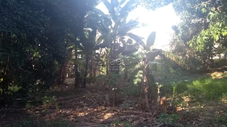 Imagem Terreno com 1.630 metros quadrados ( medida 36 X 45 ) aproximadamente. Terreno em bico, com pequeno ...