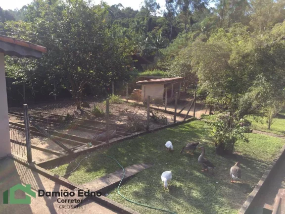 Imagem Chacara com 4100 metros, lago com peixe, churrasqueira, piscina, fogão alen