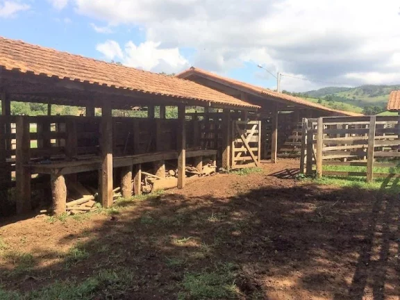 Imagem FAZENDA RURAL À VENDA, ROSETA, CAMBUÍ.