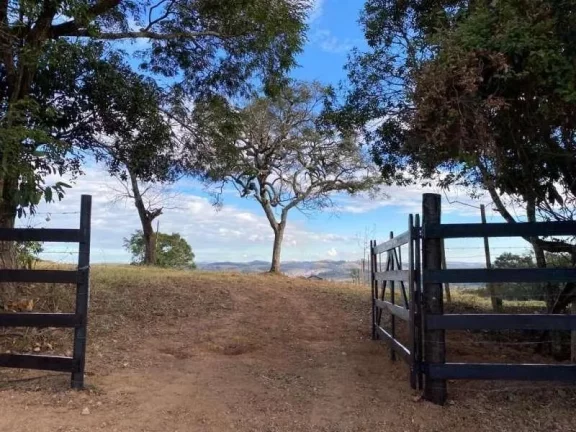 Imagem Seu Refúgio Pessoal: Construa o Lar dos Seus Sonhos neste Espaçoso Lote de 4.200 m2