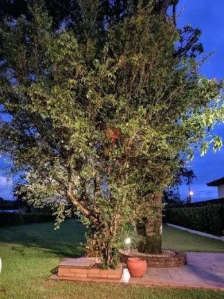 Imagem Vendo Apartamento no Parque Pallas, Bairro Campestre, Piracicaba - SP