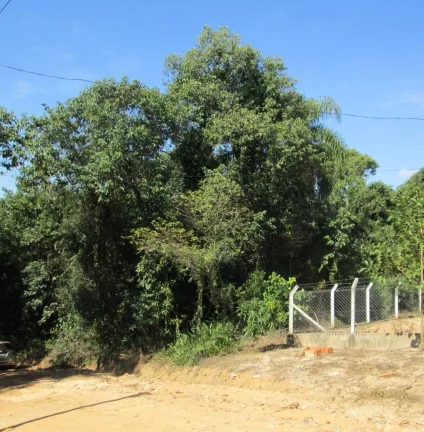TERRENO LOCALIZADO NO JARDIM CANANEIA - PILAR DO SUL - SP