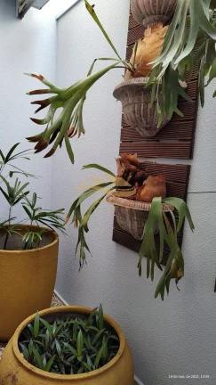 Imagem CASA EM CONDOMÍNIO RESIDENCIAL em INDAIATUBA - SP, JARDIM ESPLENDOR
