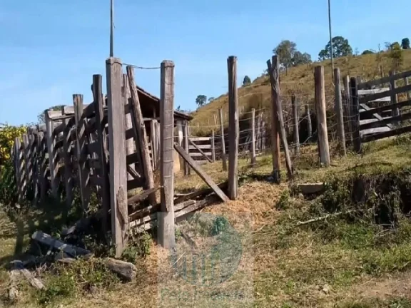 Imagem Sítio planta café 22,34 alqueires, terra vermelha, casa, água, galpão - Zona Rural - Biguatinga l de Minas Gerais