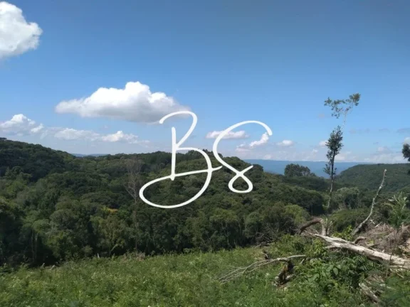 Imagem SITIO RURAL em IGREJINHA - RS, Serra Grande