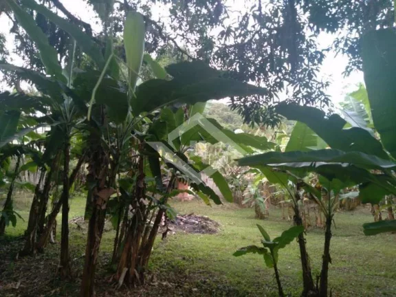 Imagem Casa de 5 Quartos (1 Suíte) em Terreno com 1570 M², Rgi. Ilha De Guaratiba