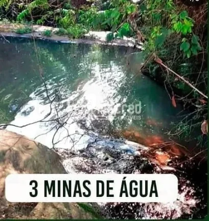Imagem Sítio à venda, Flamenguinho, Ibaiti, PR