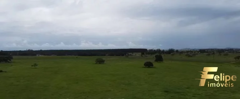 Imagem FAZENDA À VENDA EM TEIXEIRA DE FREITAS / BAHIA