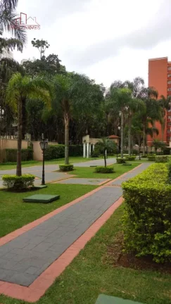 Imagem Belíssimo Apartamento no Morumbi 74m² - 3 dorms