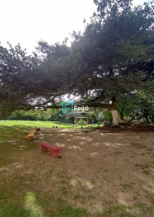 Imagem Apartamento 2 dorm. na Lomba do Pinheiro - Parada 17 frente ao CTG