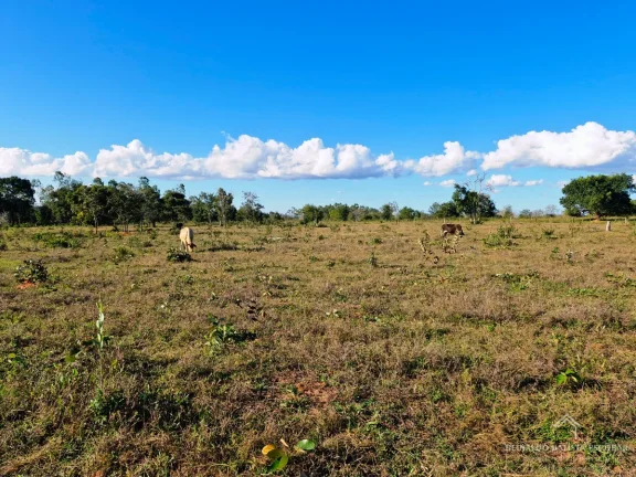 Imagem Chácara 7,8 hectares em Rochedo-MS