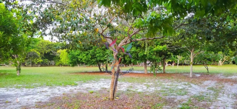 Imagem VILA DA VILA- PRAIA DE SANTO ANDRÉ - SANTA CRUZ CABRÁLIA