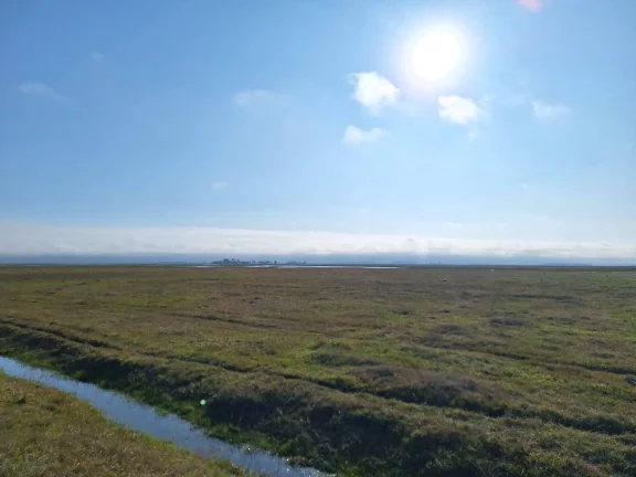 Imagem Excelente Área de 130 Hectares para Cultivo de Arroz – Viamão/RS