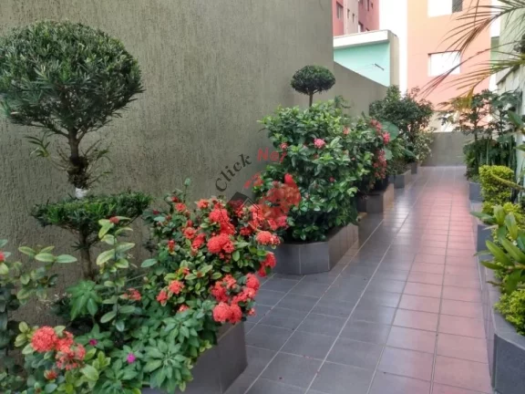 Imagem Apartamento à Venda no bairro Rudge Ramos em São Bernardo