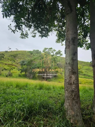 Imagem PE-25211 - PEDREIRA À VENDA NA REGIÃO DO VALE DO PARAIBA-SP