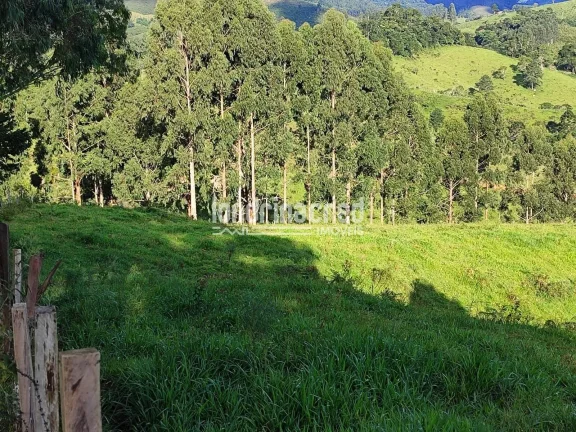 Imagem Chácara à venda 744000M², Zona Rural, Castro - PR