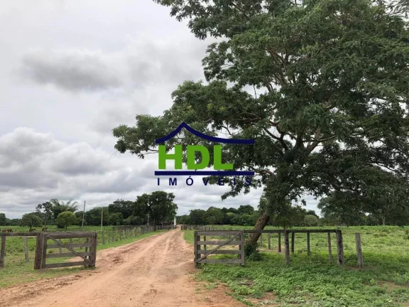 Imagem FAZENDA COM 1.180 ALQS ARAGUIANA MT