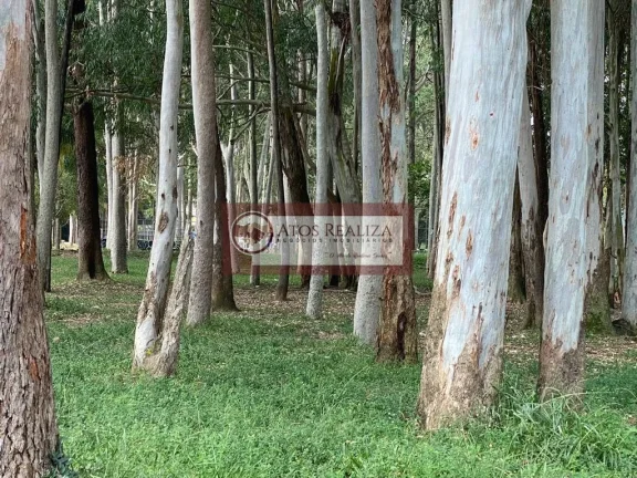 Imagem Apartamento em Parque das Arvores - São Paulo