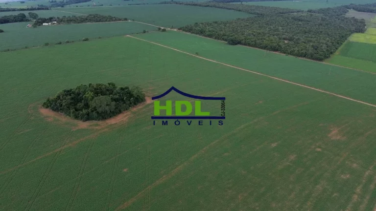 Imagem Fazenda 70 Alqs Dupla Aptidão plantada em Soja em Bela Vista GO