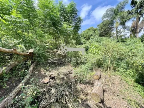Imagem Área de 907,00 m² em Bolsão FECHADO no Miolo da Granja Viana !