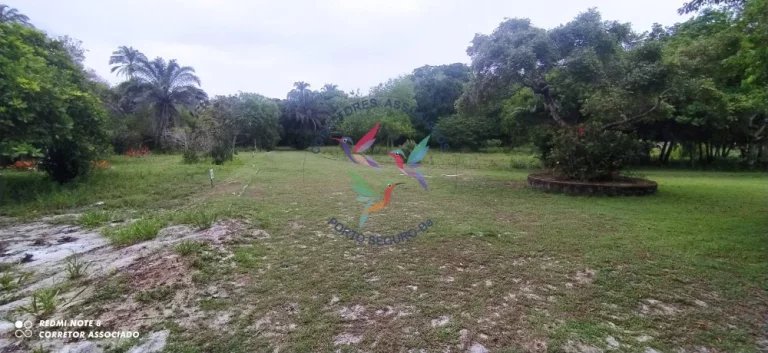 Imagem BELÍSSIMA ÁREA PARA CONDOMÍNIO EM SANTO ANDRÉ BAHIA