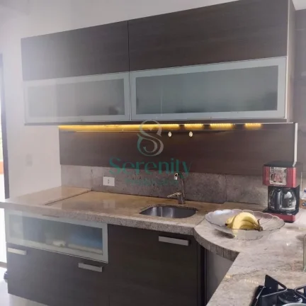 Imagem Casa para locação no Terra Bonita em Londrina/PR