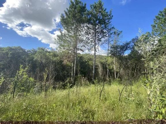 Imagem Terreno à Venda com 15.961,90 m2 na Colônia Rodrigo Silva