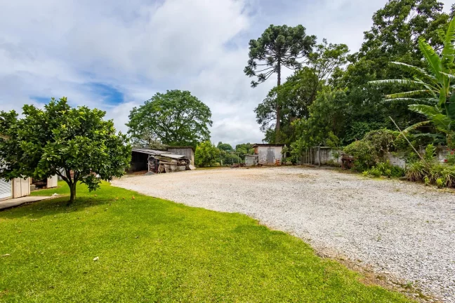 Imagem Chácara no Cercadinho Campo Largo 11.216m²