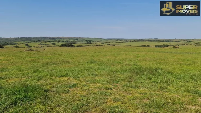 Imagem Fazenda Mista em Pedras Altas-RS