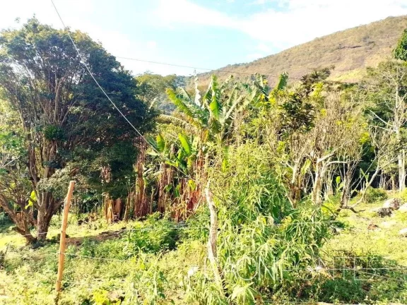 Imagem Fazenda à Venda, 70.000 m² em Sodrelândia - Trajano De Morais
