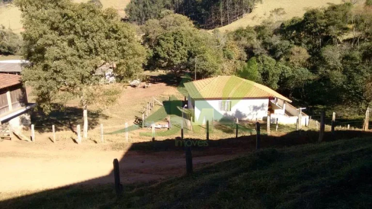 Imagem FAZENDA GADO NELORE COM 100 ALQUEIRES em Cambui MG