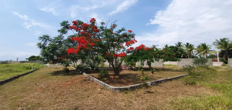 Imagem Terreno para Venda em Sapeaçu, SAPEAÇU