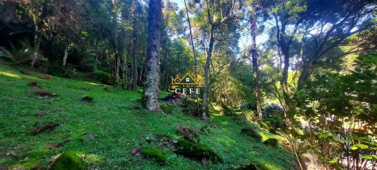 Imagem Chácara - Sítio com 2 Dormitorio(s) localizado(a) no bairro Carapina em São Francisco de Paula / RIO GRANDE DO SUL Ref.:1539
