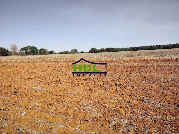 Fazenda 17,7 ou 10 Alqs Dupla Aptidão em PIracanjuba/GO