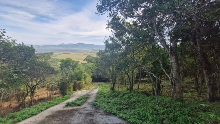 Imagem Terreno à Venda na Praia da Silveira em Garopaba-SC - Vista para a Lagoa da Ferrugem!