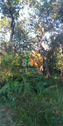 Imagem Casa em Condomínio para Venda em São Roque, Saboo, 4 dormitórios, 1 suíte, 1 banheiro