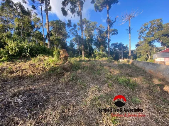 Imagem Terreno a Venda na Região do Floresta Negra em Campos do Jordão- SP.