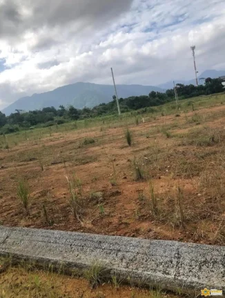 Imagem Vendo lote documentado no Jardim Tropical - Estufa 2