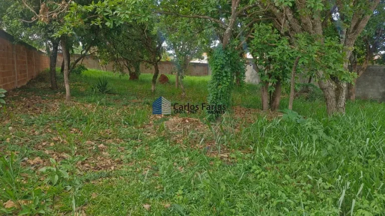 Imagem Lote em Condomínio Fechado para Venda em Brasília, Setor Habitacional Tororó (Jardim Botânico)